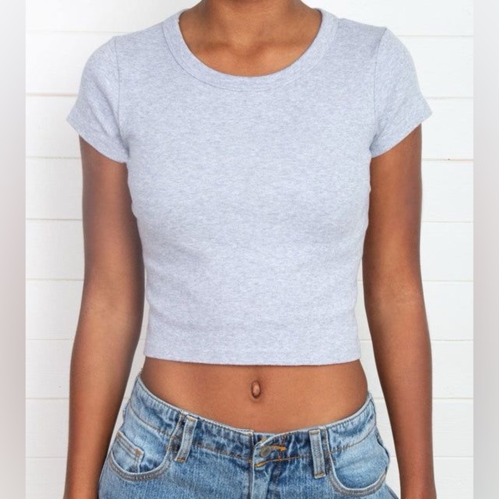 Brandy Melville Gray Crop Top